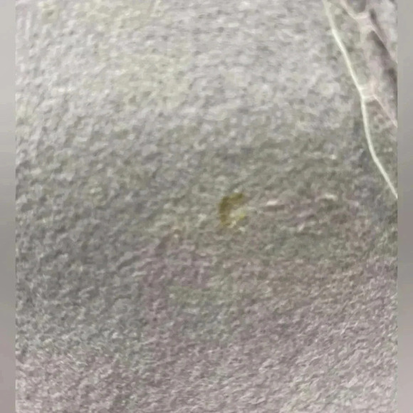 100% wool Michael Haward Elegant Beige and Gray Hats with Veil - Picture 8 of 8